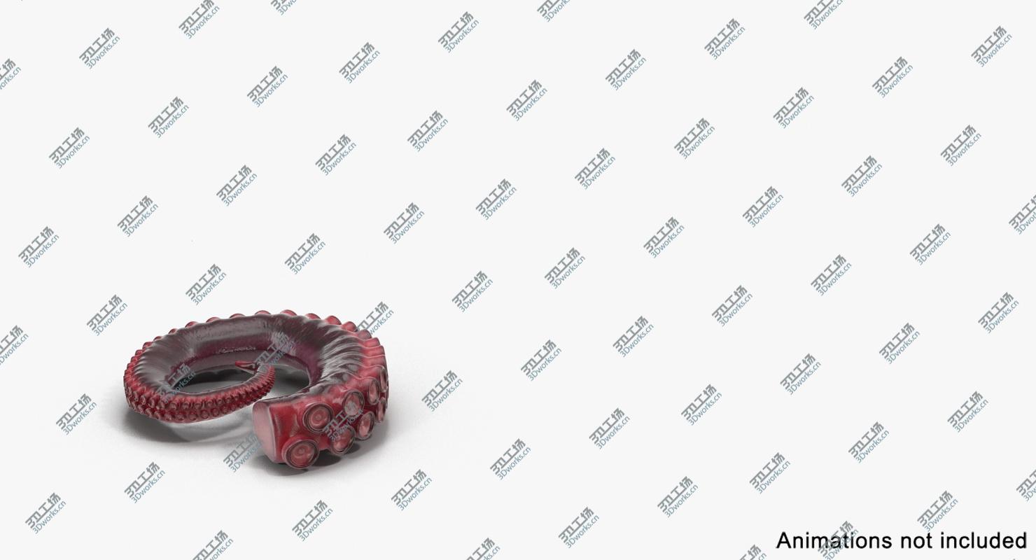 images/goods_img/20210113/Octopus Tentacle Rigged for Cinema 4D/3.jpg